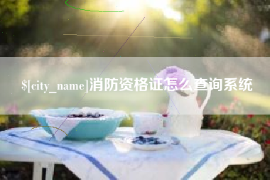 海盐消防资格证怎么查询系统