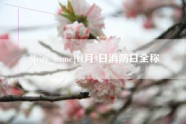 海盐11月9日消防日全称