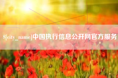 海盐中国执行信息公开网官方服务