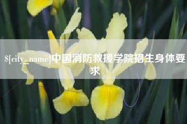 海盐中国消防救援学院招生身体要求