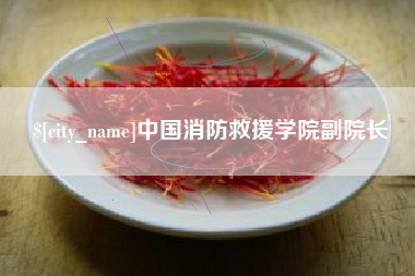 海盐中国消防救援学院副院长