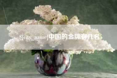 海盐中国的金牌有几名