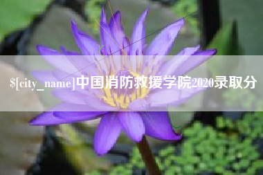 海盐中国消防救援学院2020录取分