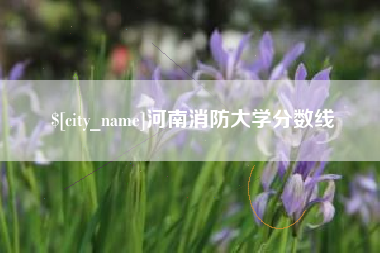 海盐河南消防大学分数线