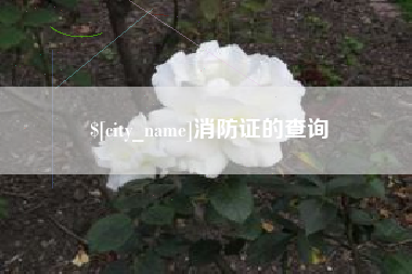 海盐消防证的查询