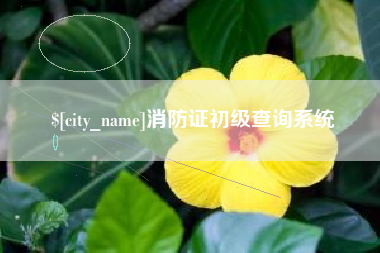 海盐消防证初级查询系统