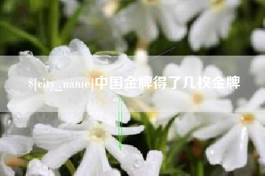 海盐中国金牌得了几枚金牌
