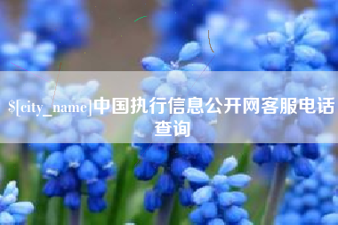 海盐中国执行信息公开网客服电话查询