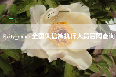 海盐全国失信被执行人员官网查询