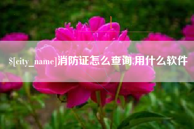 海盐消防证怎么查询,用什么软件