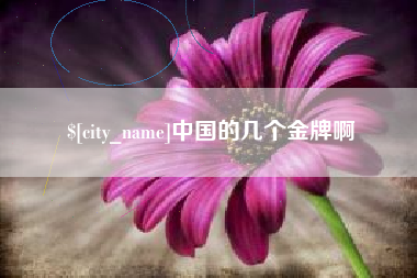 海盐中国的几个金牌啊