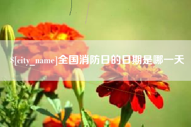 海盐全国消防日的日期是哪一天