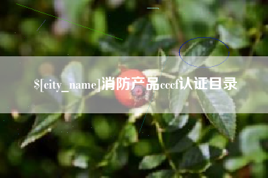 海盐消防产品cccf认证目录