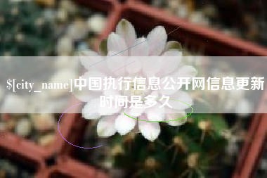 海盐中国执行信息公开网信息更新时间是多久