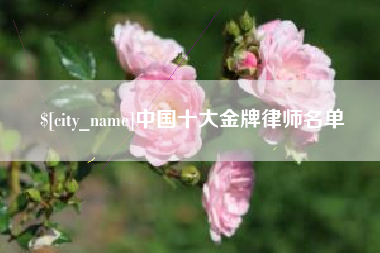 海盐中国十大金牌律师名单