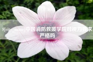 海盐中国消防救援学院对视力要求严格吗