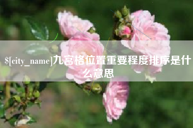 海盐九宫格位置重要程度排序是什么意思