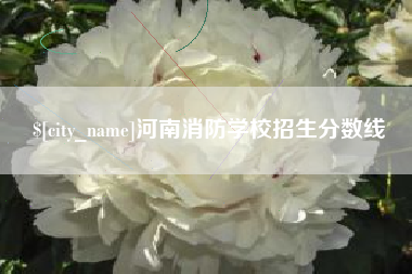 海盐河南消防学校招生分数线