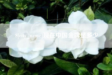 海盐现在中国金牌是多少