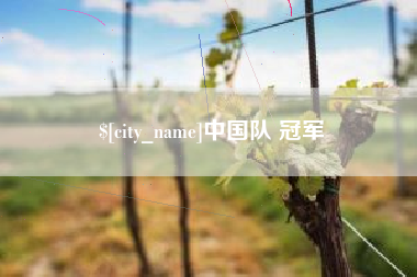 海盐中国队 冠军