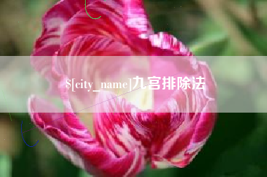 海盐九宫排除法