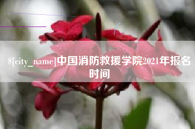 海盐中国消防救援学院2021年报名时间