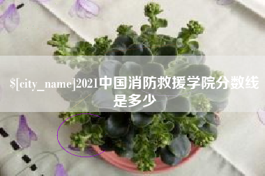 海盐2021中国消防救援学院分数线是多少