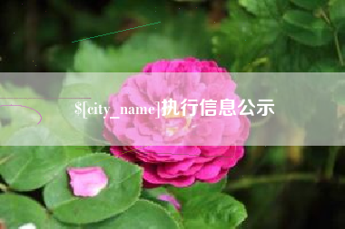 海盐执行信息公示