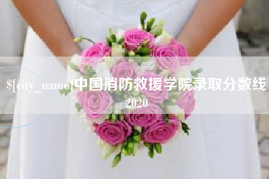海盐中国消防救援学院录取分数线2020