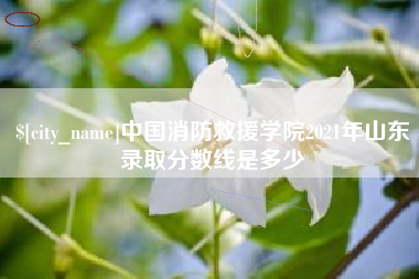 海盐中国消防救援学院2021年山东录取分数线是多少