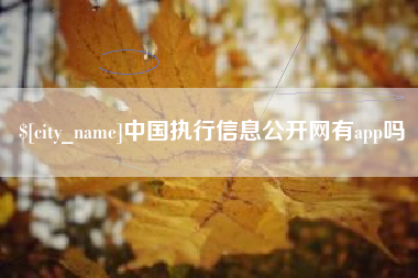 海盐中国执行信息公开网有app吗