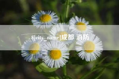 海盐成都 消防