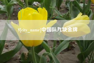 海盐中国队九块金牌