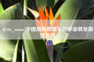 海盐中国消防救援学院毕业就业前景如何