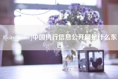 海盐中国执行信息公开网是什么东西