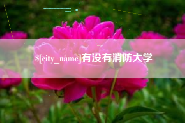 海盐有没有消防大学