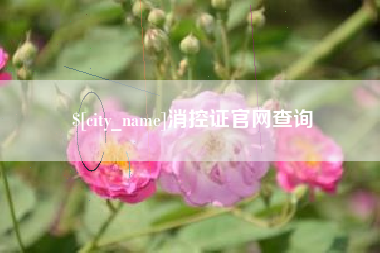 海盐消控证官网查询
