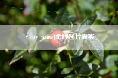 海盐金牌图片真实