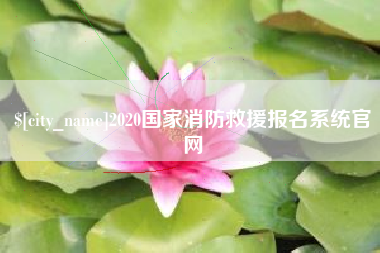 海盐2020国家消防救援报名系统官网