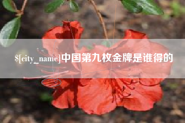 海盐中国第九枚金牌是谁得的