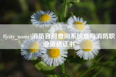海盐消防官网查询系统查询消防职业资格证书