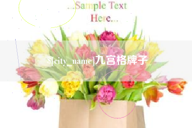 海盐九宫格牌子