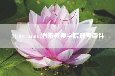 海盐消防救援学院报考条件