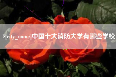 海盐中国十大消防大学有哪些学校