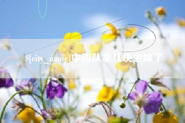 海盐中国队拿几块金牌了