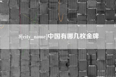 海盐中国有哪几枚金牌