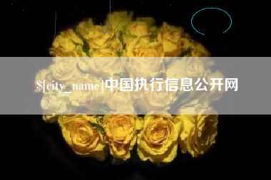 海盐中国执行信息公开网