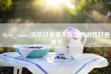 海盐消防日是哪天我国的消防日是哪天