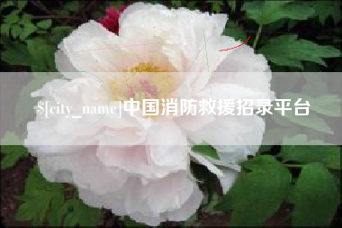 海盐中国消防救援招录平台