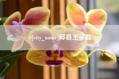 海盐邱县王子磊